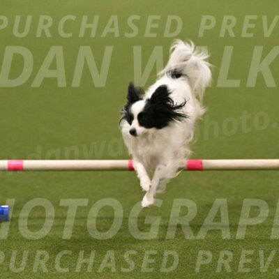 Dainty-Heather-Chambers-10909