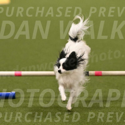 Dainty-Heather-Chambers-10910