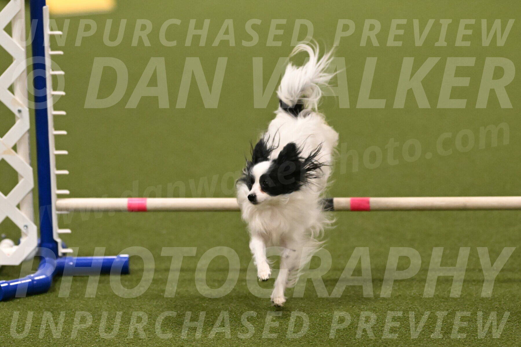 Dainty-Heather-Chambers-10910