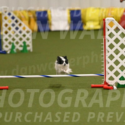 Dainty-Heather-Chambers-10911