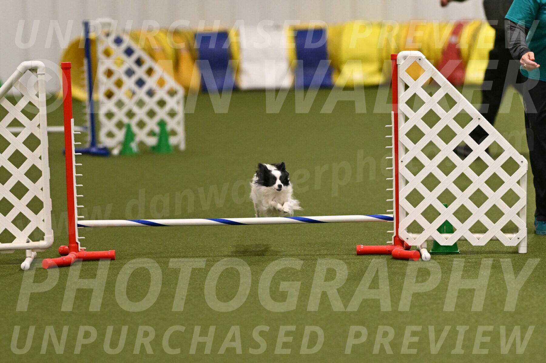 Dainty-Heather-Chambers-10911