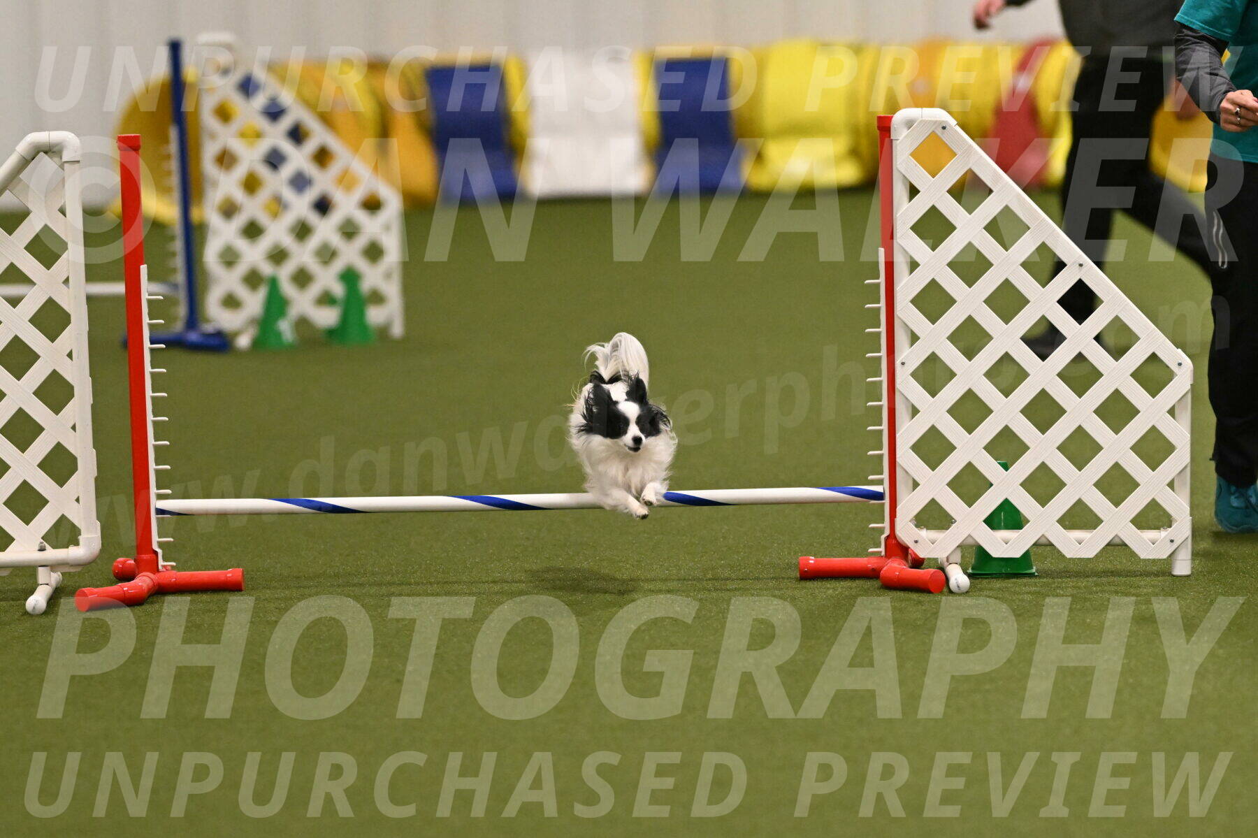 Dainty-Heather-Chambers-10912