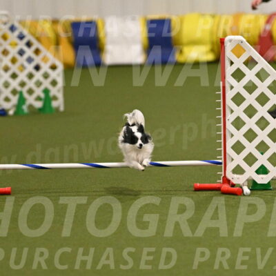 Dainty-Heather-Chambers-10912