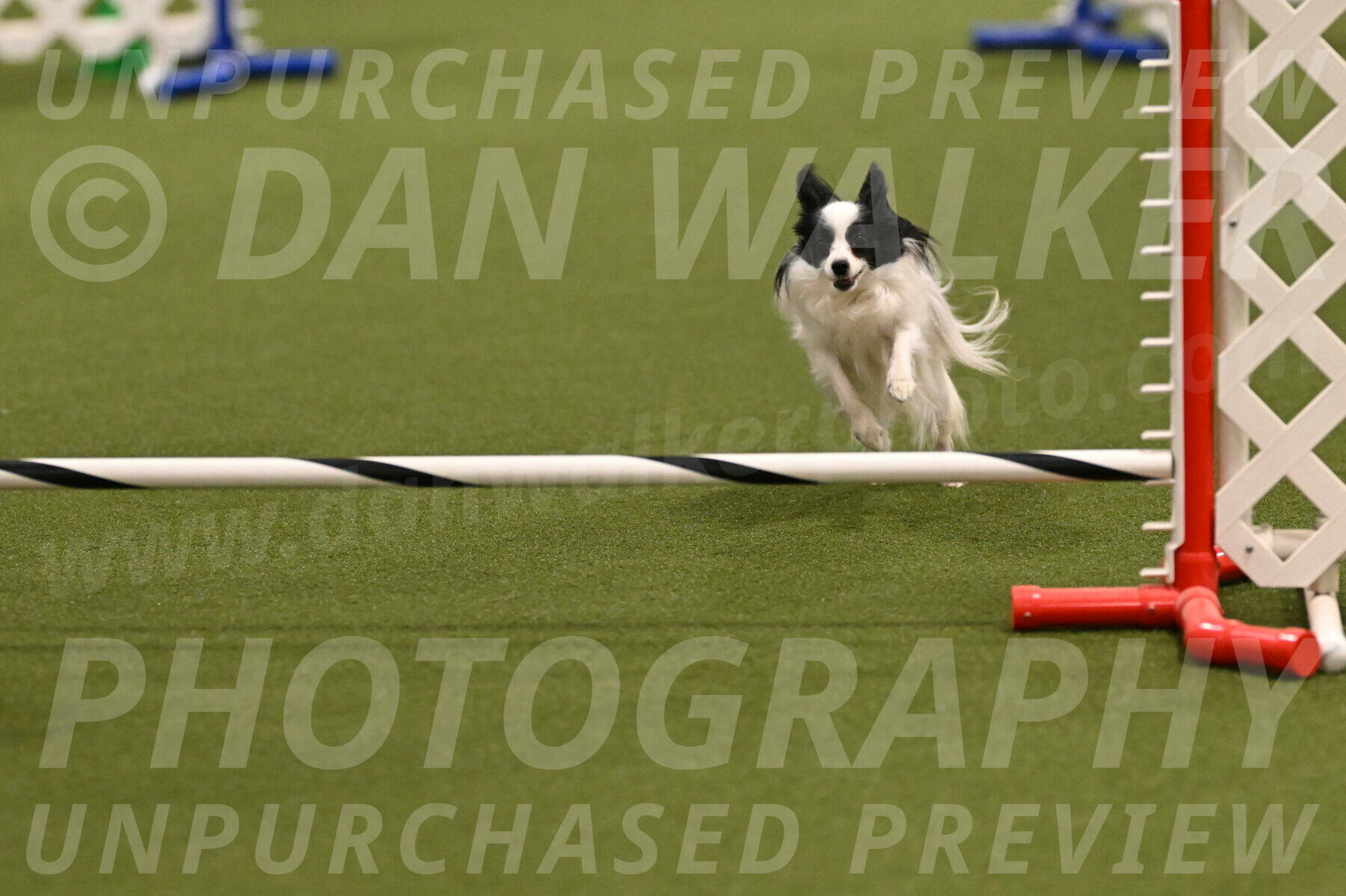 Dainty-Heather-Chambers-10913