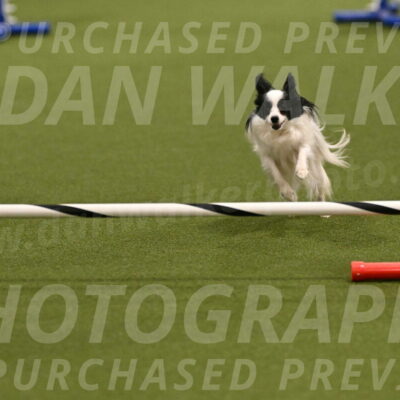 Dainty-Heather-Chambers-10913