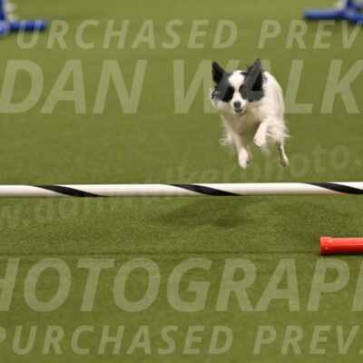 Dainty-Heather-Chambers-10914