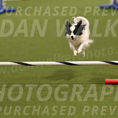 Dainty-Heather-Chambers-10915