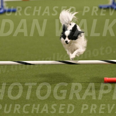 Dainty-Heather-Chambers-10916