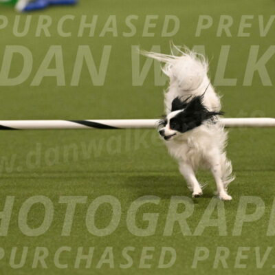 Dainty-Heather-Chambers-10917