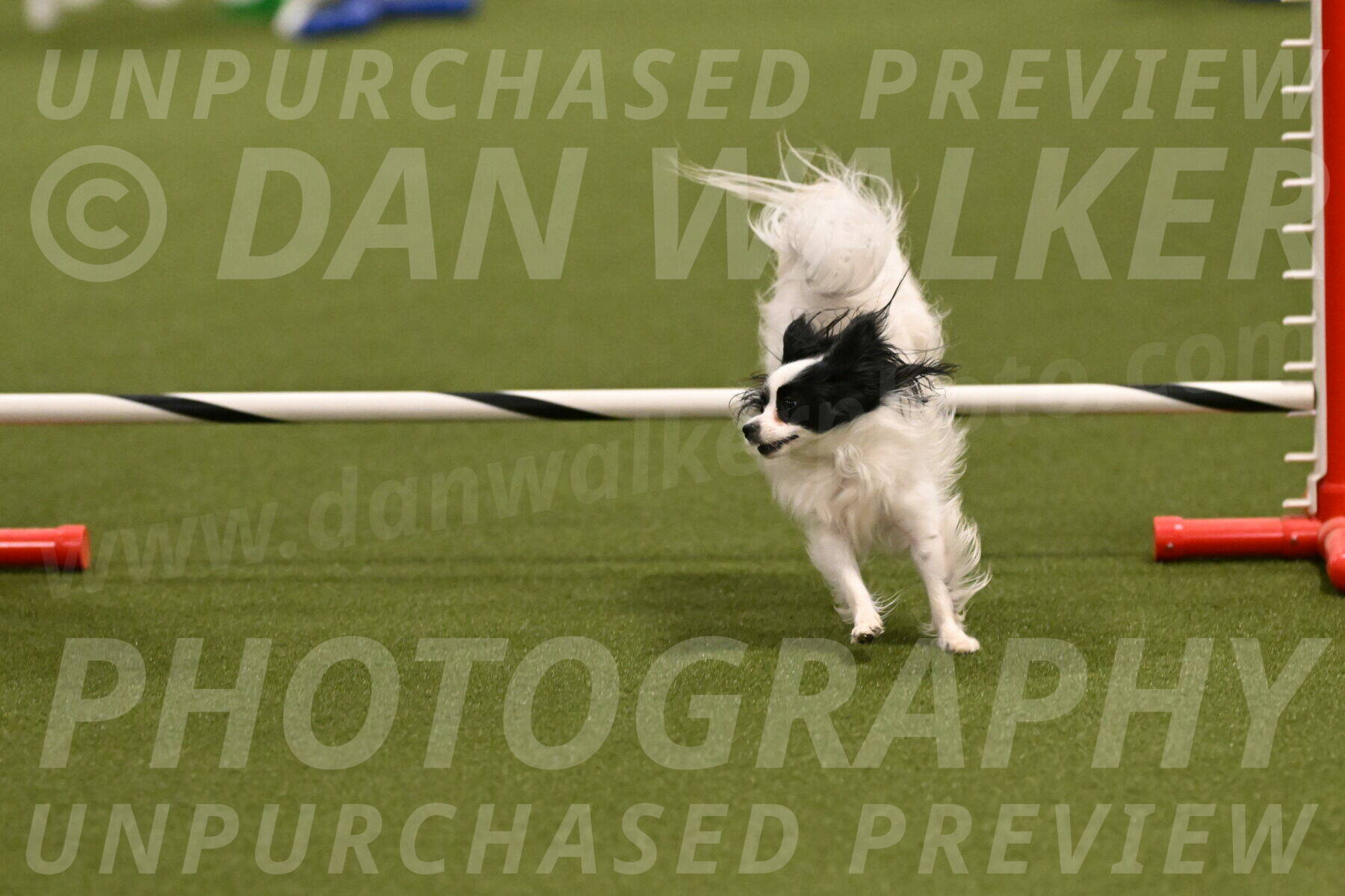 Dainty-Heather-Chambers-10917