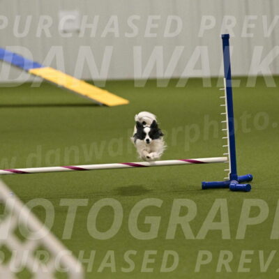 Dainty-Heather-Chambers-10918