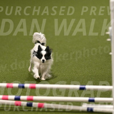 Dainty-Heather-Chambers-10919