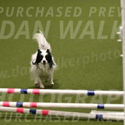 Dainty-Heather-Chambers-10920