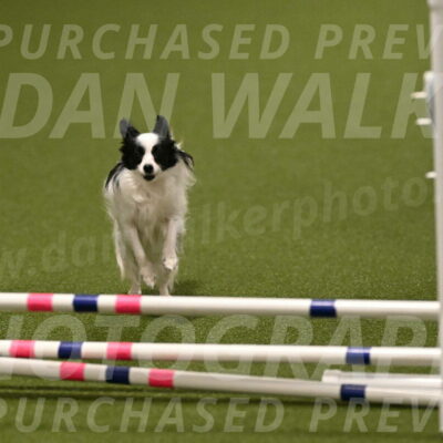 Dainty-Heather-Chambers-10921