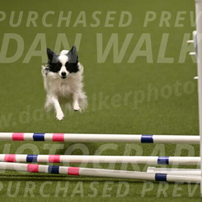 Dainty-Heather-Chambers-10922