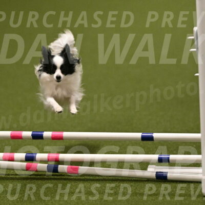 Dainty-Heather-Chambers-10923