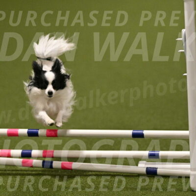 Dainty-Heather-Chambers-10924