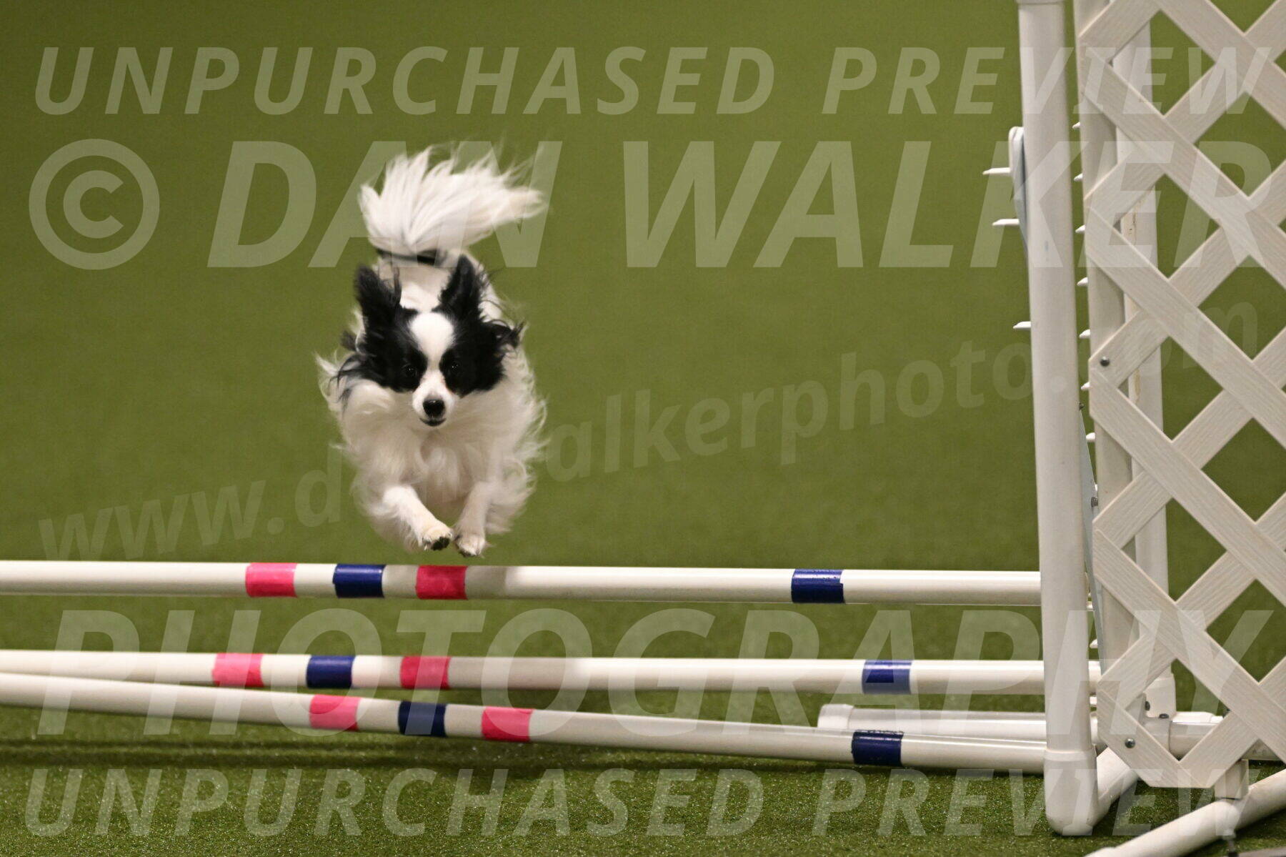 Dainty-Heather-Chambers-10924