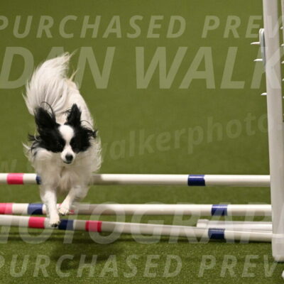 Dainty-Heather-Chambers-10925