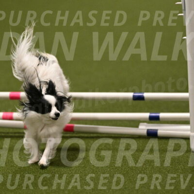 Dainty-Heather-Chambers-10926