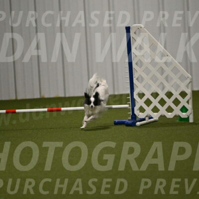 Dainty-Heather-Chambers-10927