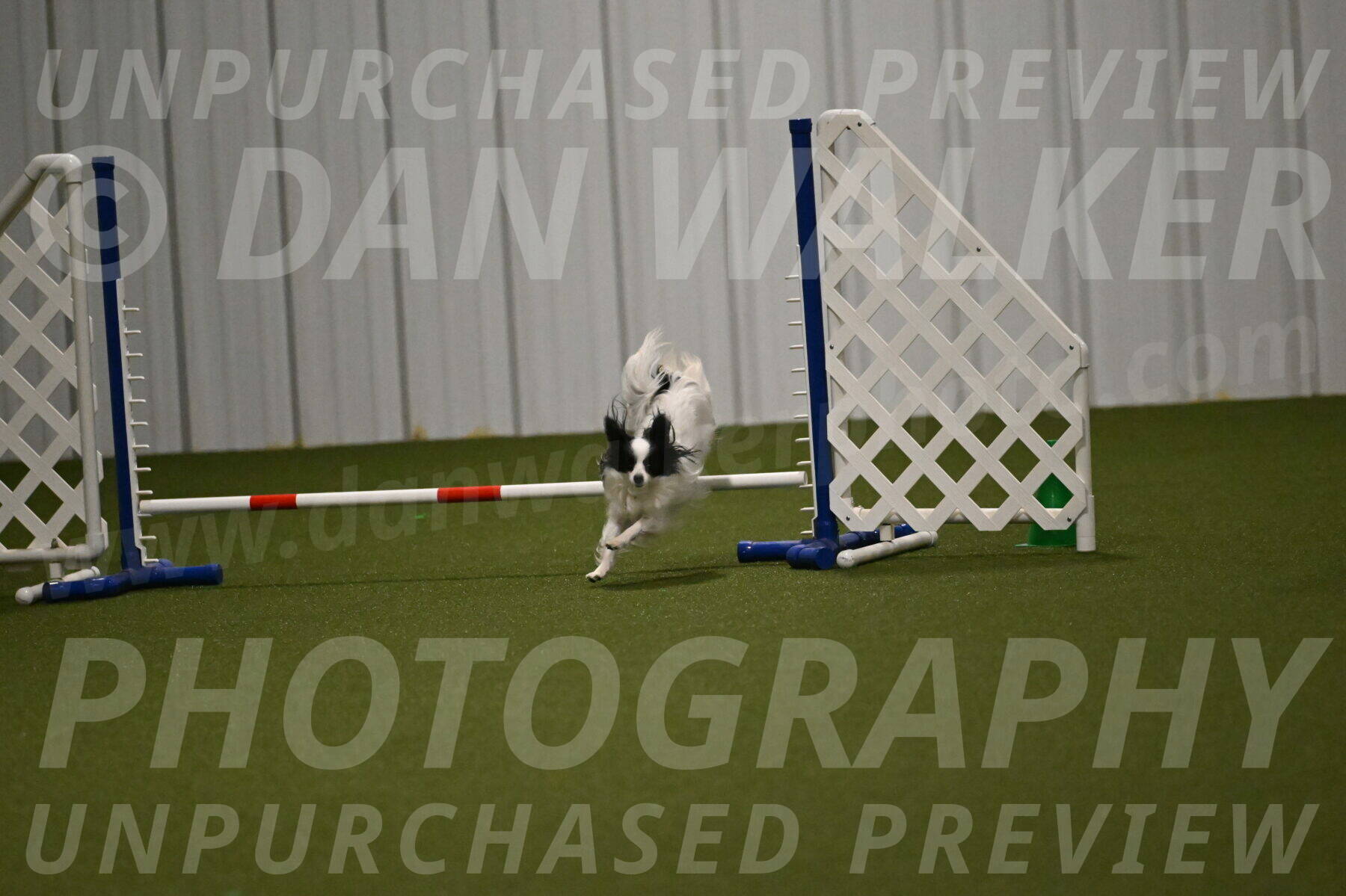 Dainty-Heather-Chambers-10927