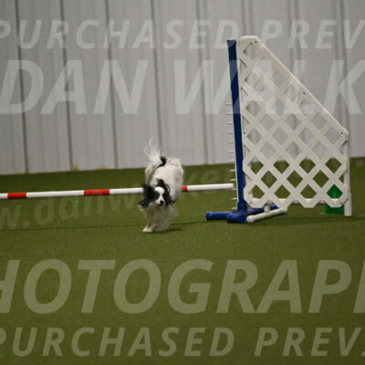 Dainty-Heather-Chambers-10928