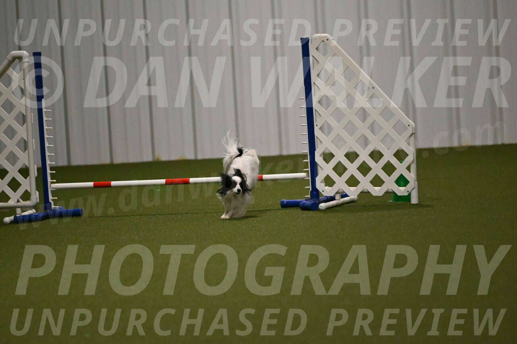 Dainty-Heather-Chambers-10928