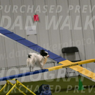 Dainty-Heather-Chambers-10929