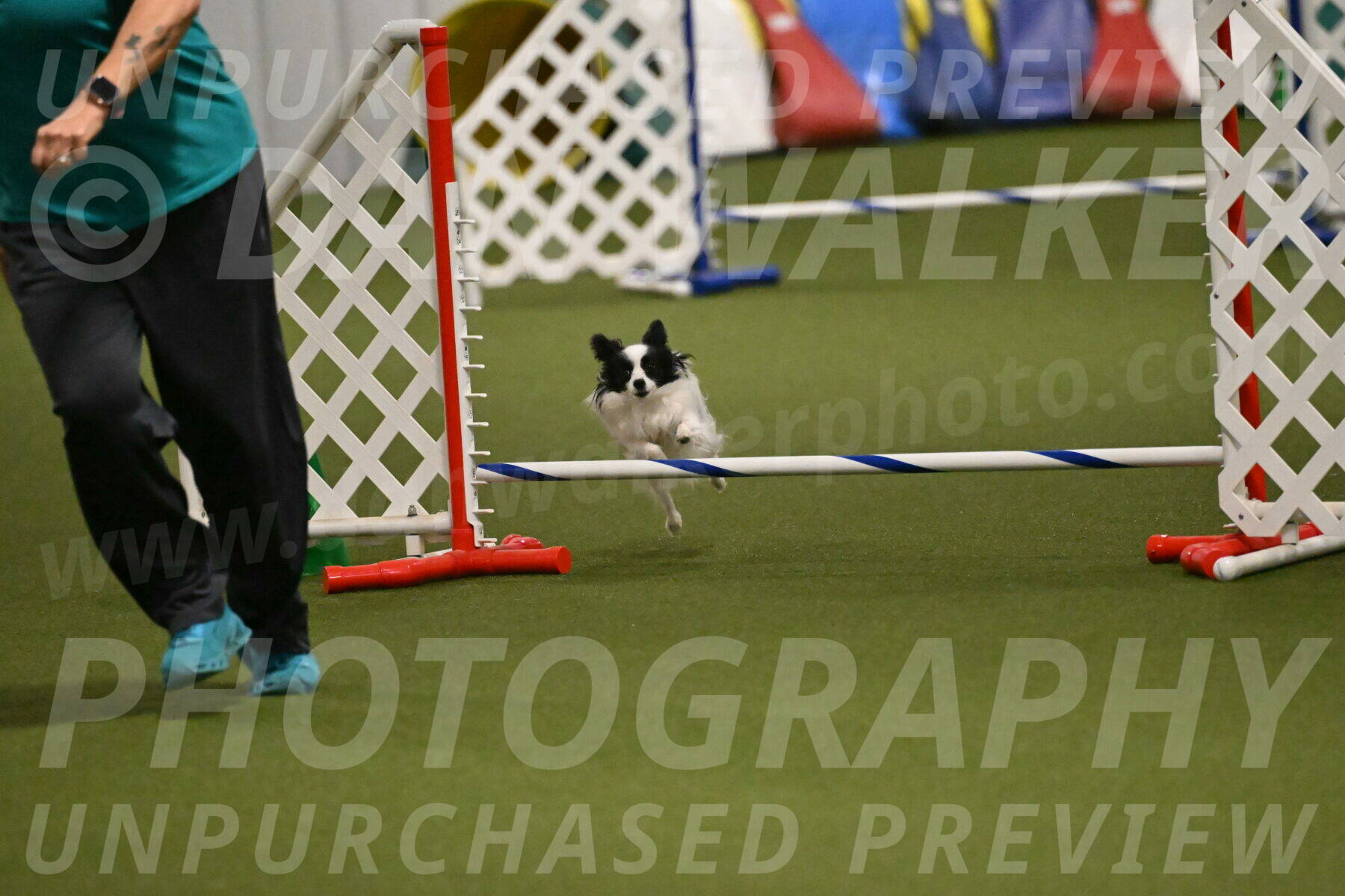 Dainty-Heather-Chambers-10930