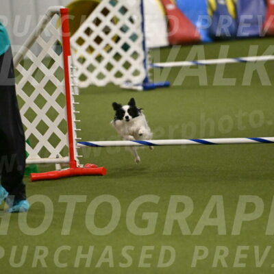 Dainty-Heather-Chambers-10930