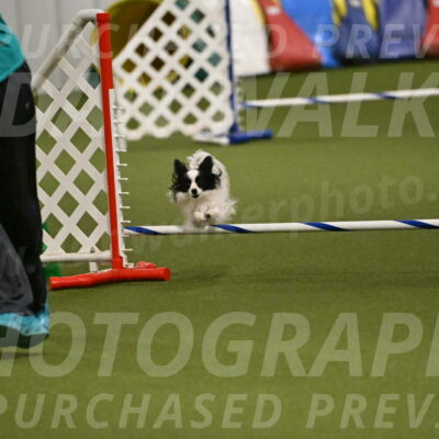 Dainty-Heather-Chambers-10931