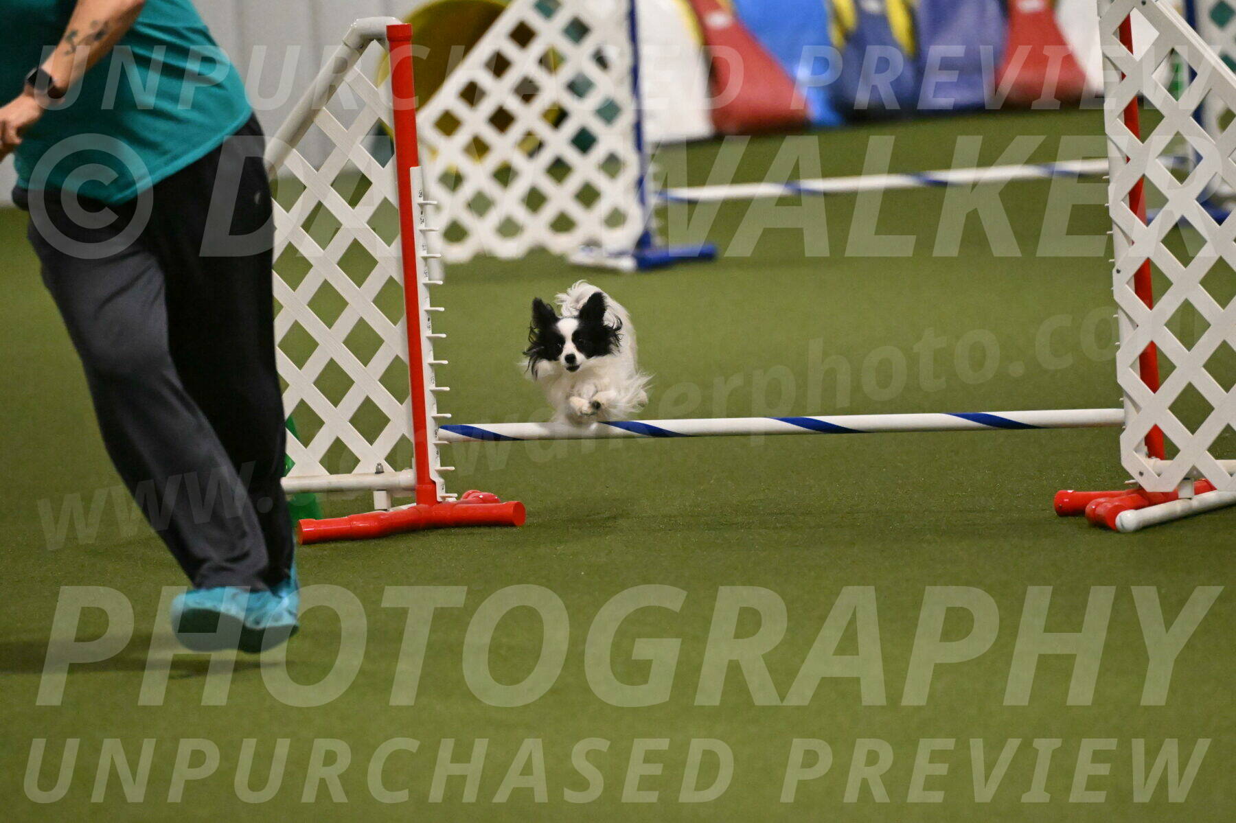 Dainty-Heather-Chambers-10931