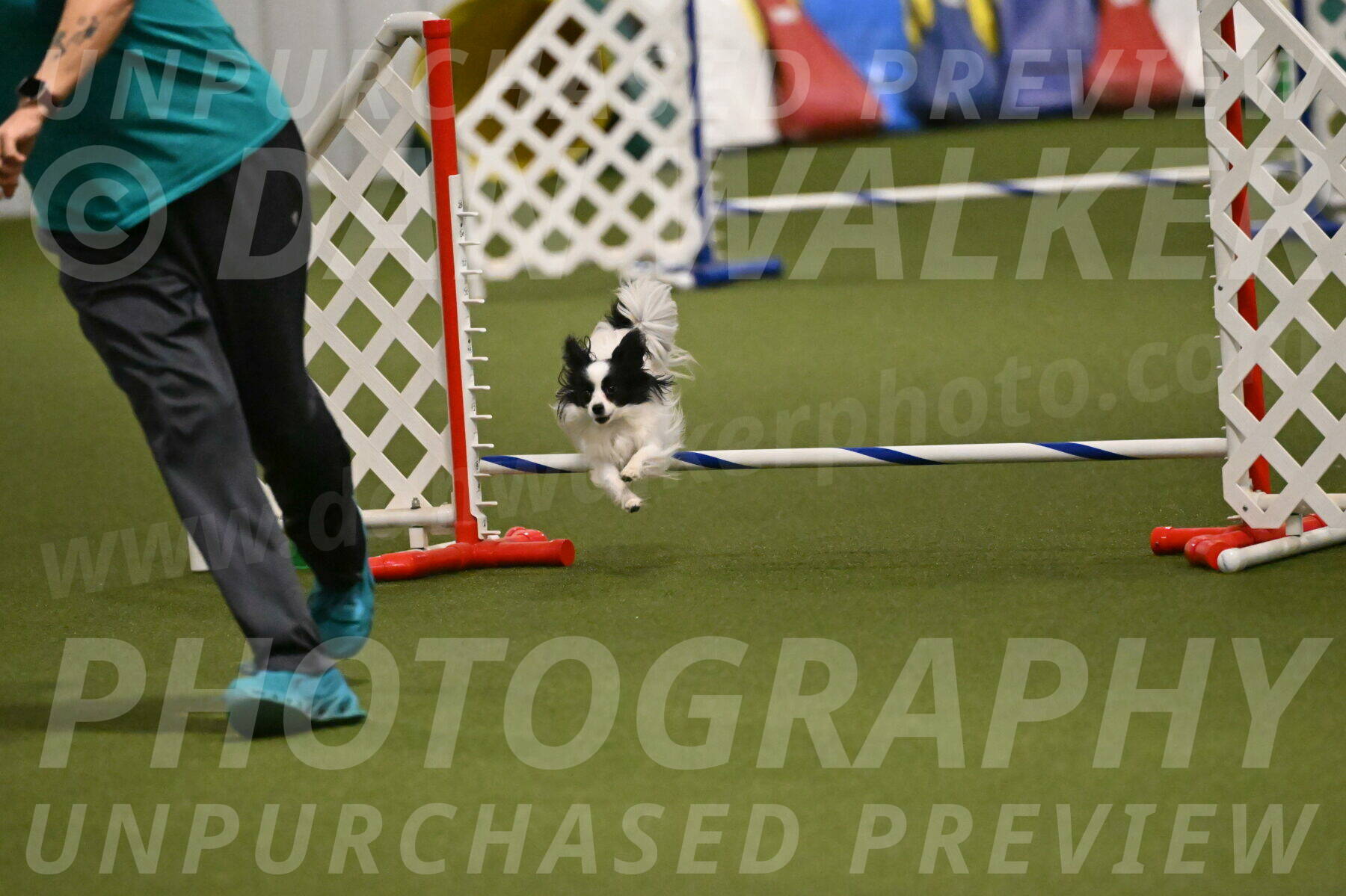 Dainty-Heather-Chambers-10932