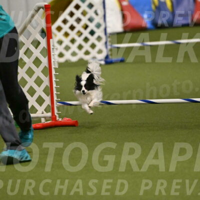 Dainty-Heather-Chambers-10932