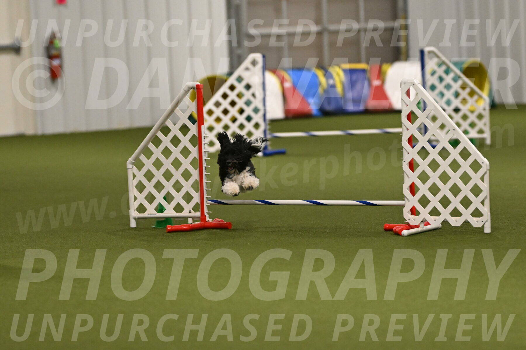 Dainty-Heather-Chambers-10934