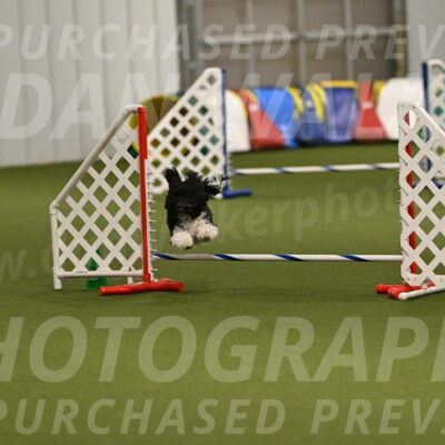 Dainty-Heather-Chambers-10934