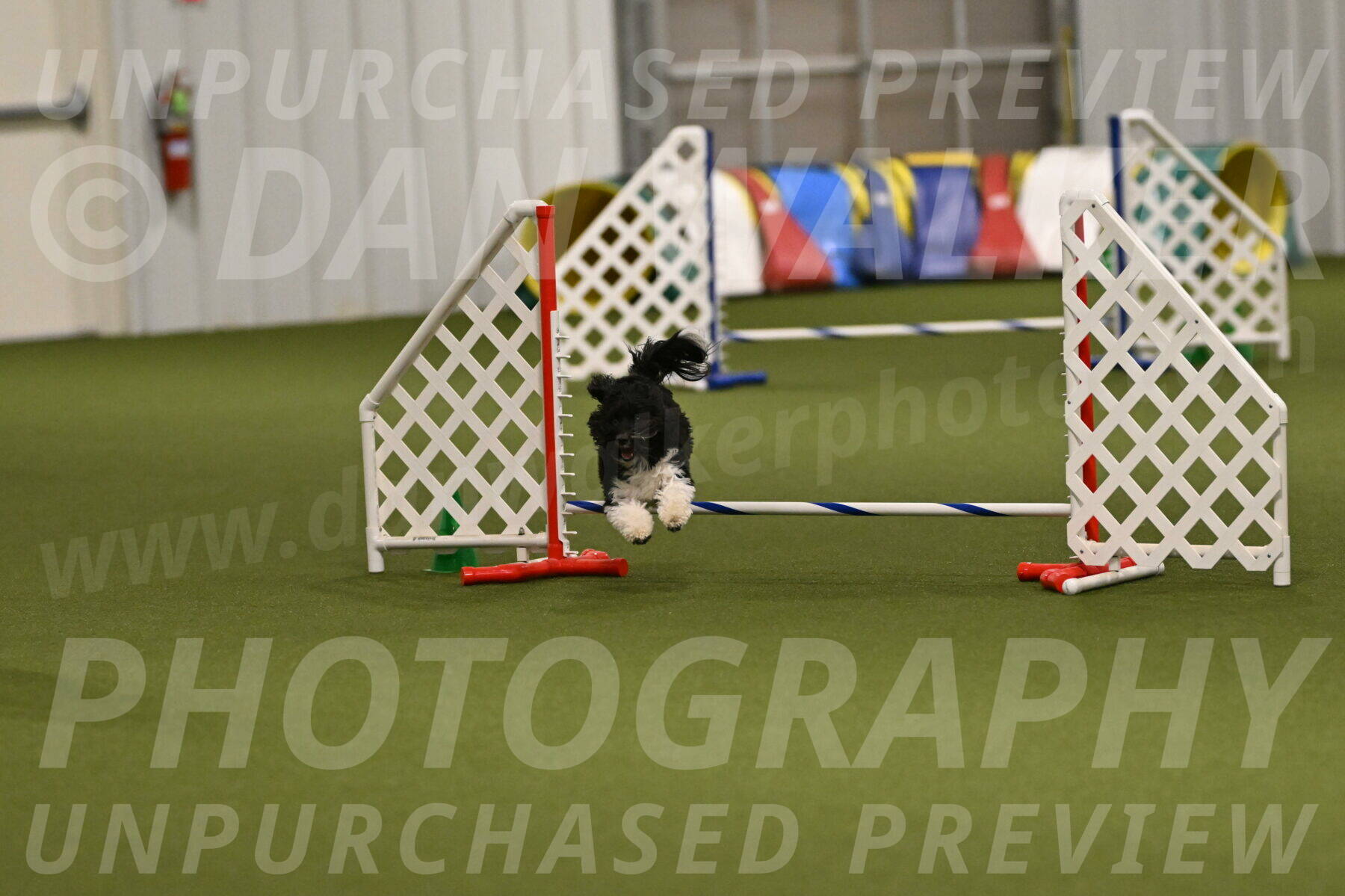 Dainty-Heather-Chambers-10935