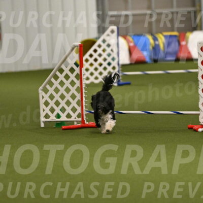 Dainty-Heather-Chambers-10936