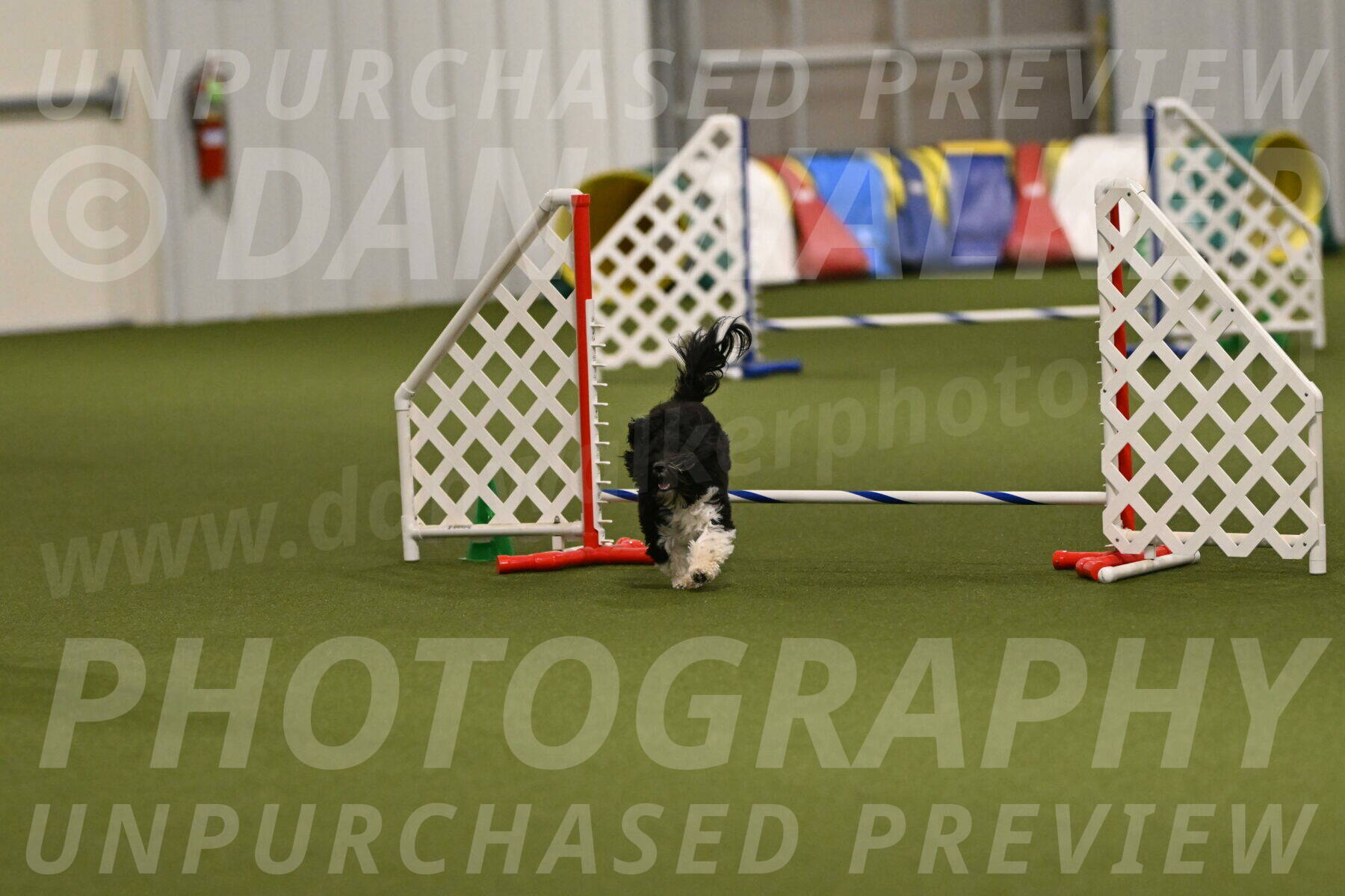 Dainty-Heather-Chambers-10936