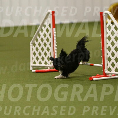 Dainty-Heather-Chambers-10937