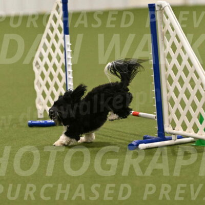 Dainty-Heather-Chambers-10938