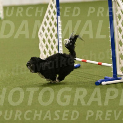 Dainty-Heather-Chambers-10939