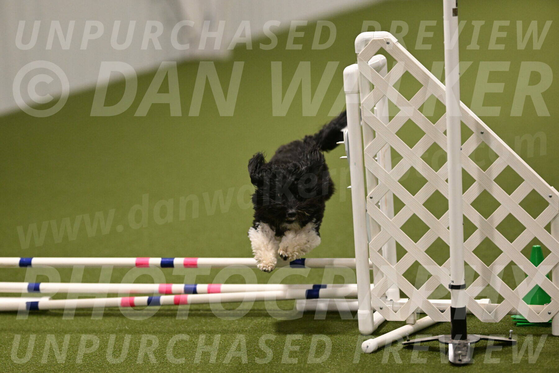 Dainty-Heather-Chambers-10940