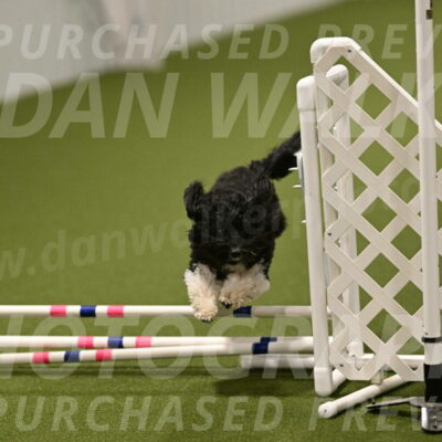 Dainty-Heather-Chambers-10940