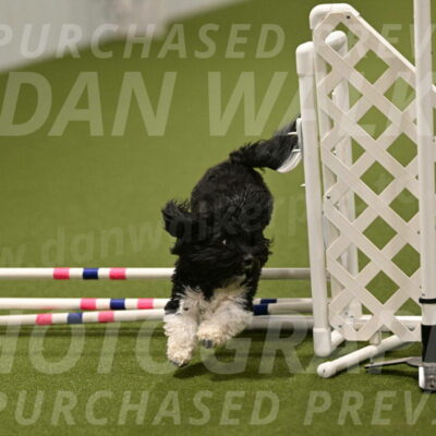 Dainty-Heather-Chambers-10941