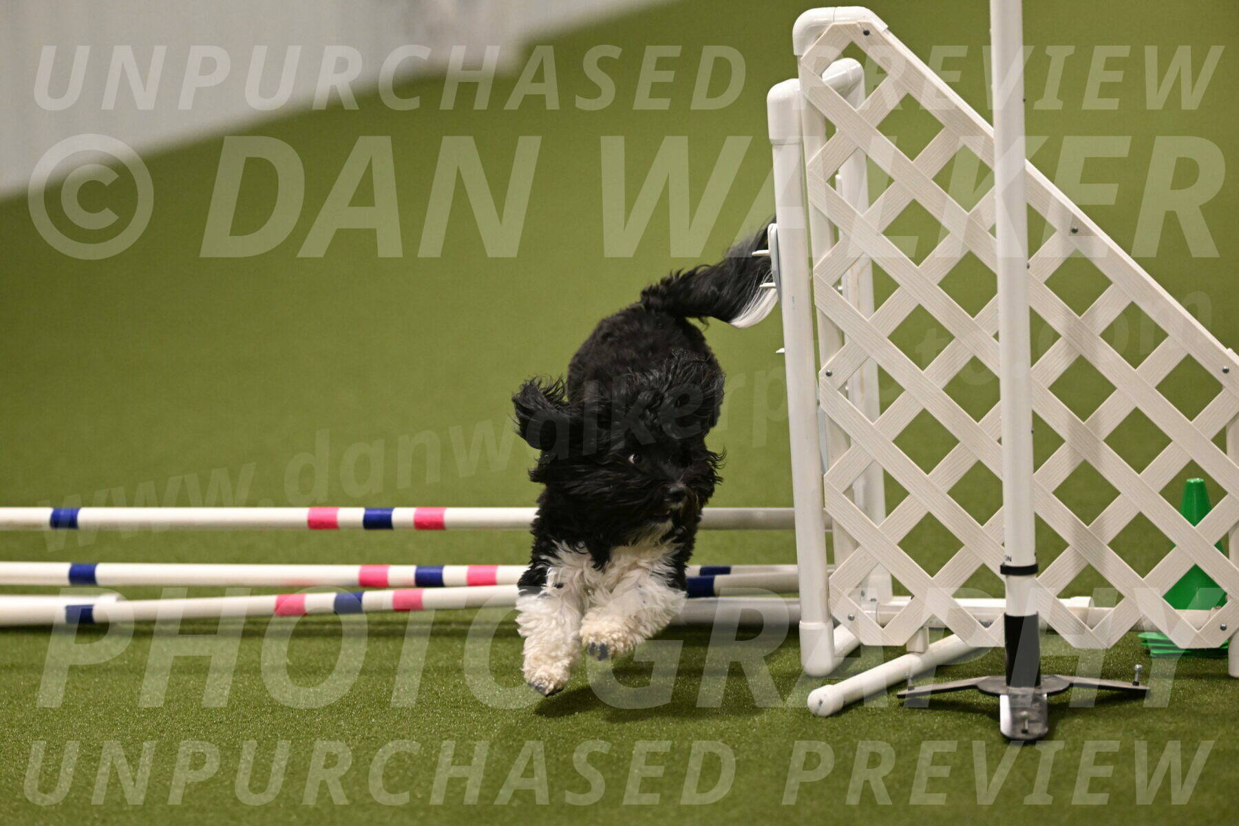 Dainty-Heather-Chambers-10941