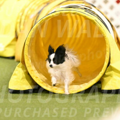 Dainty-Heather-Chambers-10943