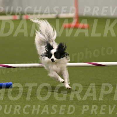 Dainty-Heather-Chambers-10946