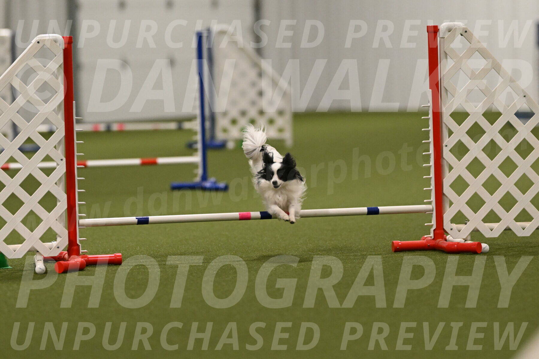 Dainty-Heather-Chambers-10947